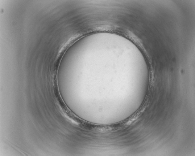 X0000059060106200511041739