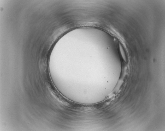 X0000059060107200511041739