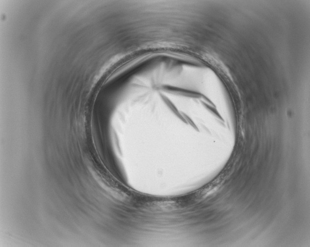 X0000059060108200511041739