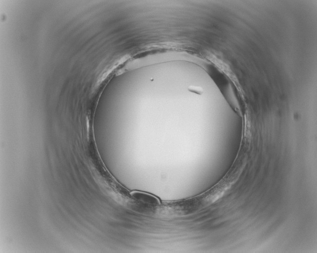 X0000059060109200511041739