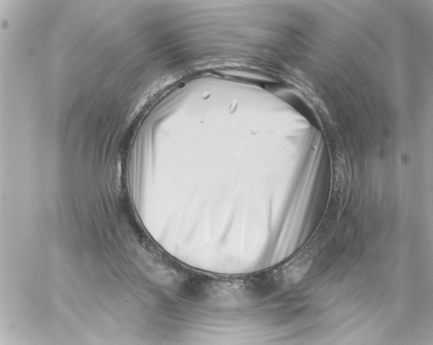 X0000059060110200511041739