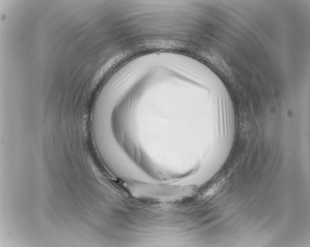 X0000059060111200511041739