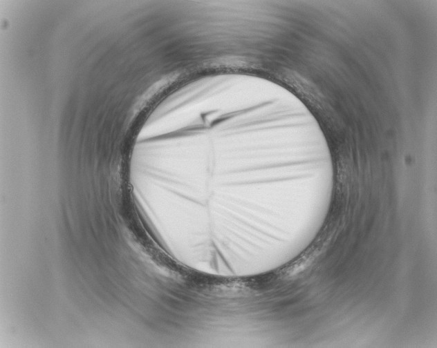 X0000059060112200511041739