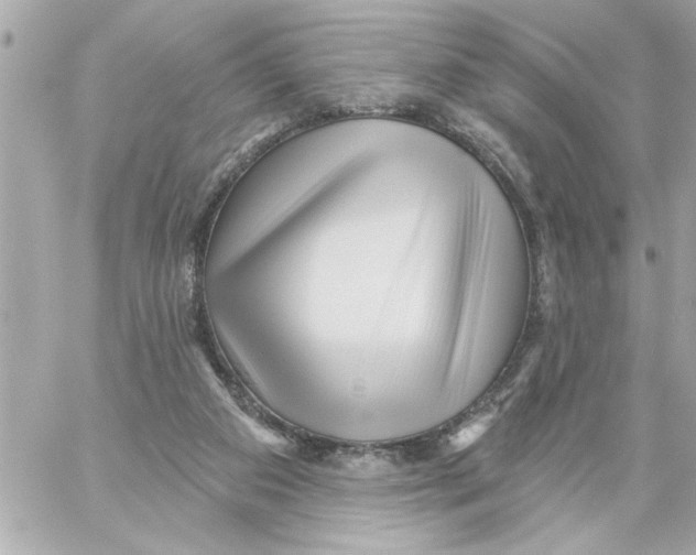 X0000059060113200511041739