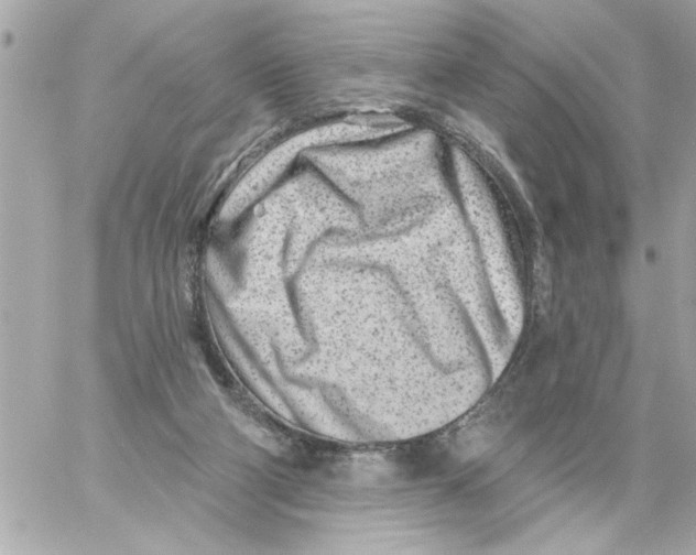 X0000059060114200511041739