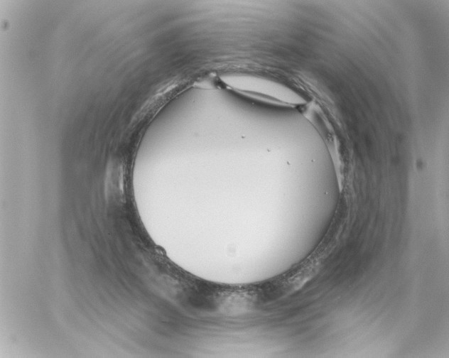 X0000059060115200511041739