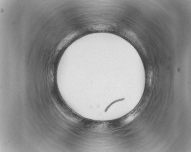 X0000059060116200511041739