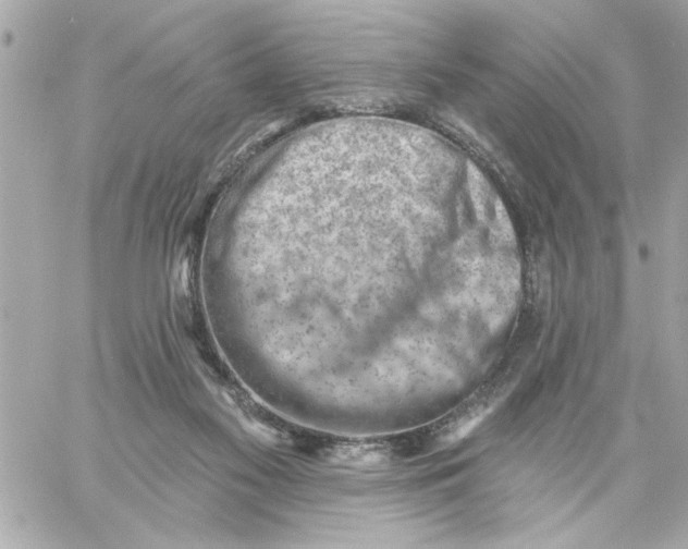 X0000059060117200511041739