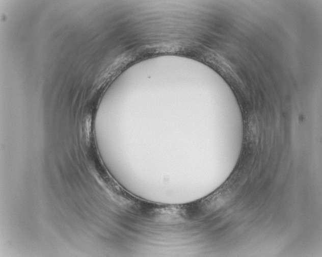 X0000059060118200511041739