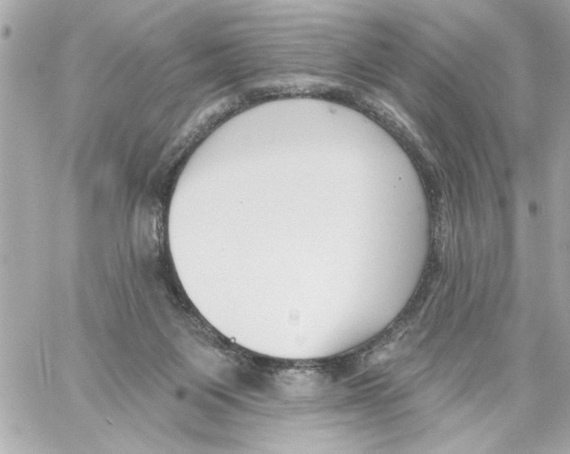 X0000059060119200511041739