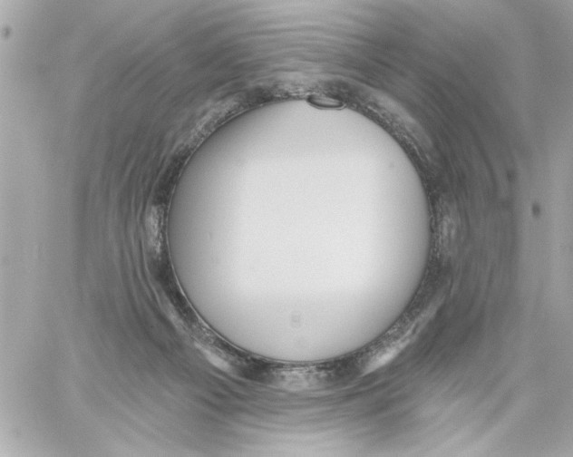 X0000059060121200511041739