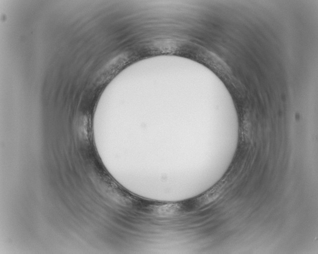 X0000059060122200511041739