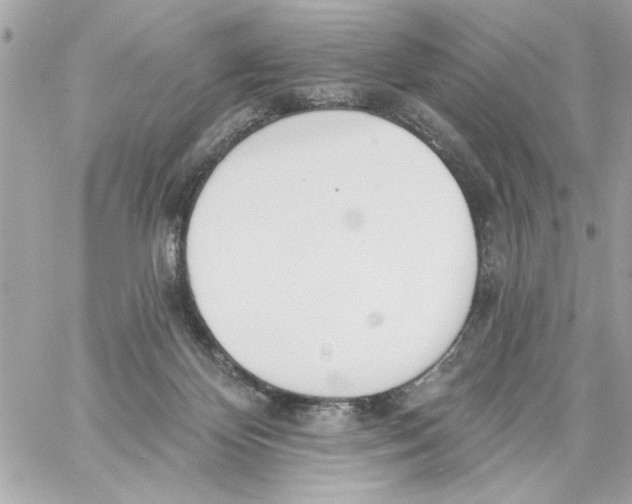 X0000059060124200511041738