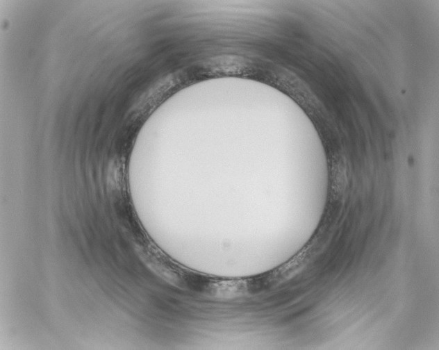 X0000059060126200511041738