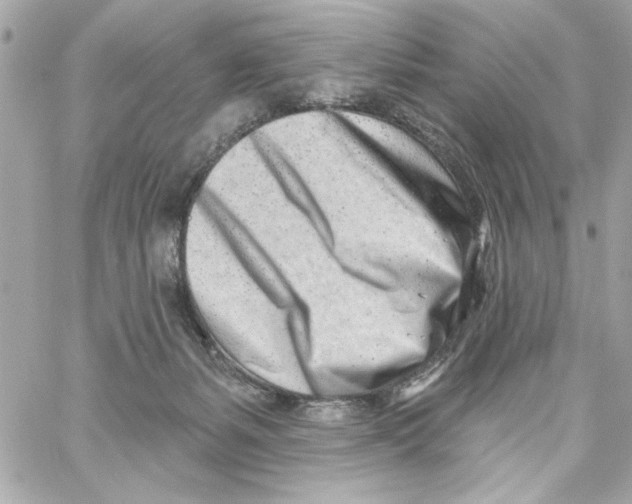 X0000059060127200511041738