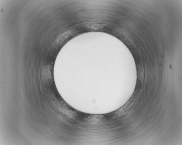 X0000059060128200511041738