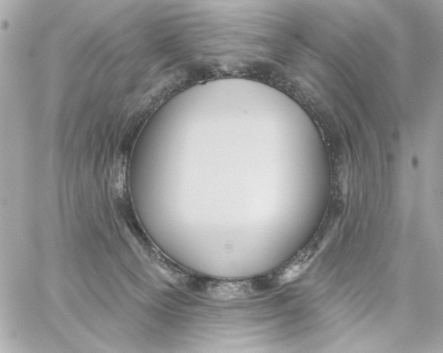 X0000059060129200511041738