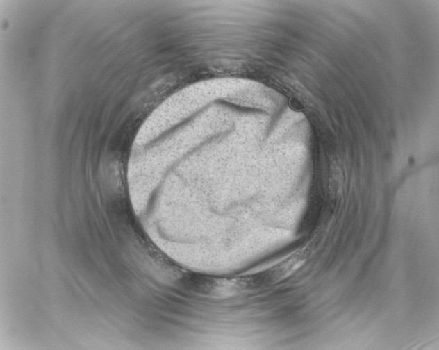 X0000059060130200511041738