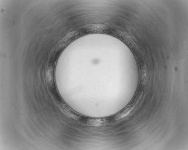 X0000059060131200511041738