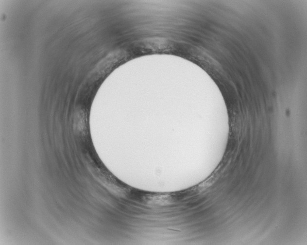 X0000059060132200511041738