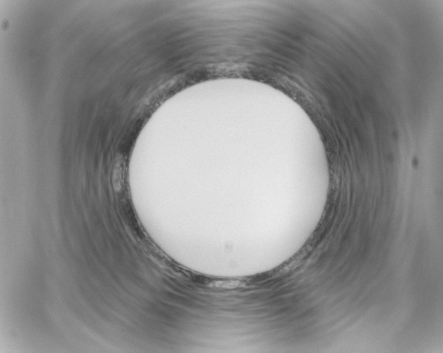 X0000059060133200511041738