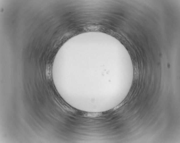 X0000059060134200511041738