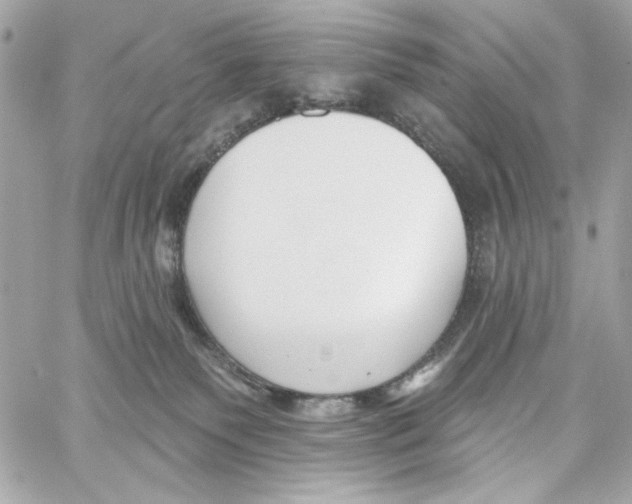 X0000059060135200511041738