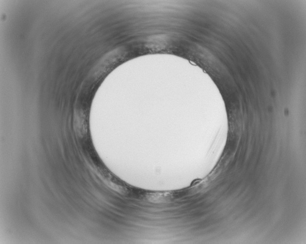 X0000059060136200511041738