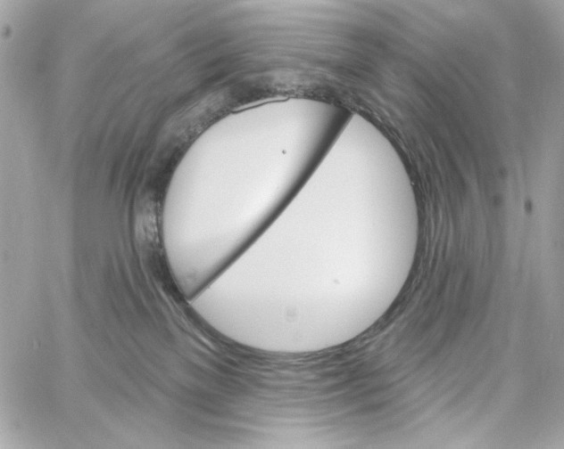 X0000059060137200511041738