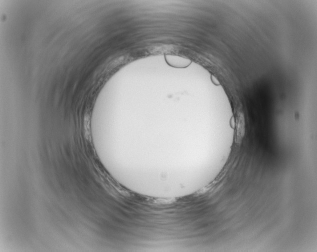 X0000059060138200511041738