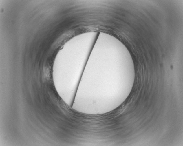 X0000059060139200511041738