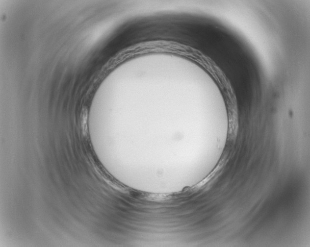 X0000059060142200511041738