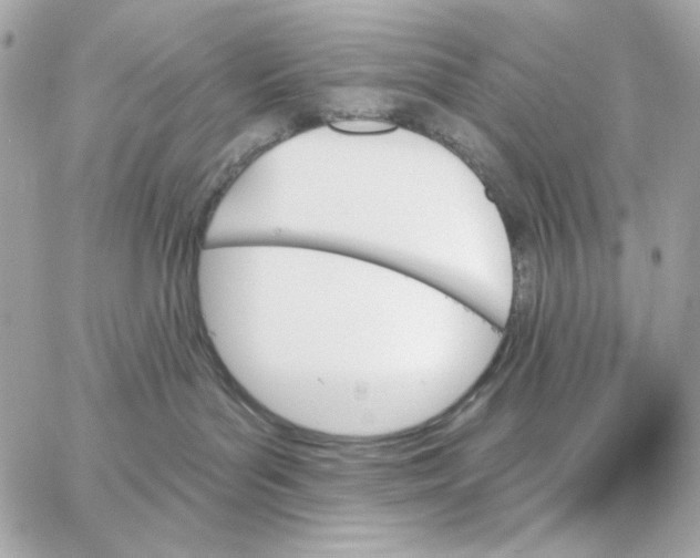 X0000059060143200511041738