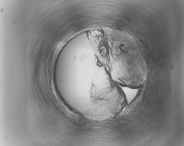 X0000059060145200511041737