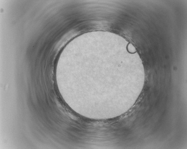 X0000059060146200511041737