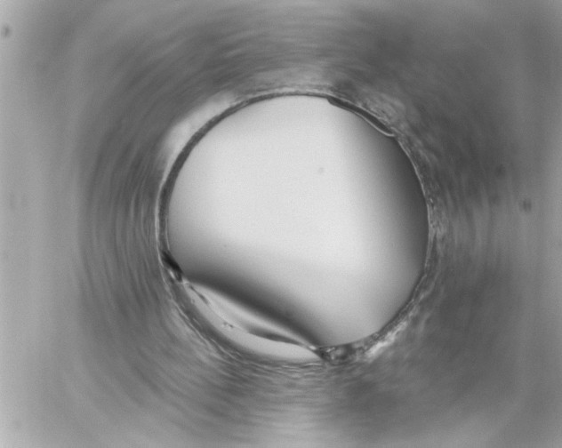 X0000059060148200511041737