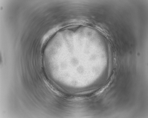 X0000059060149200511041737