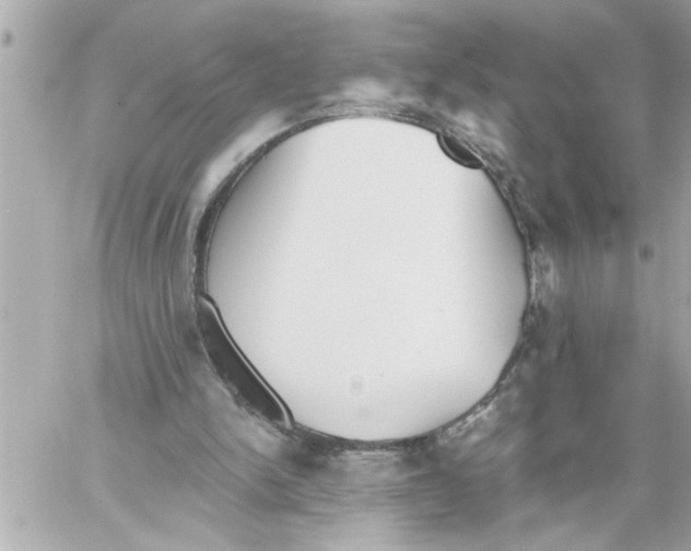 X0000059060150200511041737