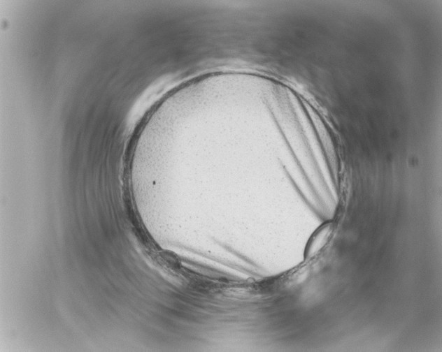 X0000059060151200511041737