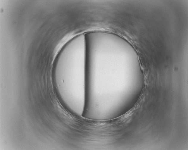 X0000059060152200511041737