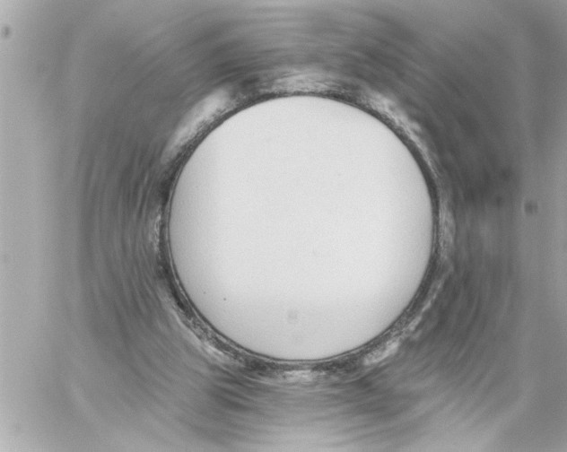 X0000059060153200511041737