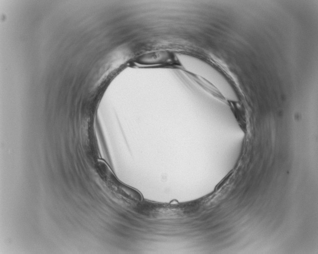 X0000059060154200511041737