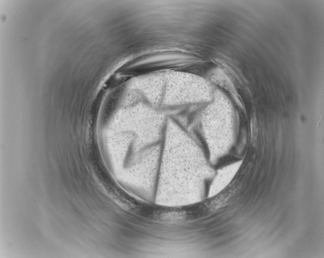 X0000059060156200511041738