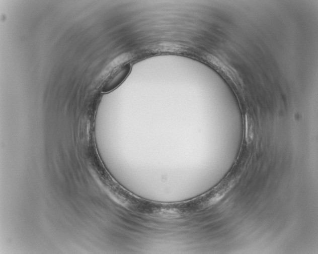 X0000059060157200511041738