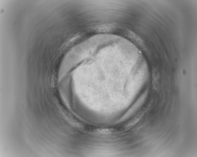 X0000059060161200511041738