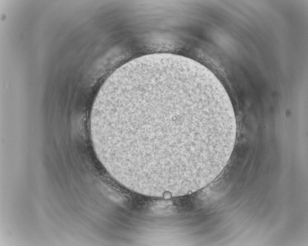 X0000059060162200511041738