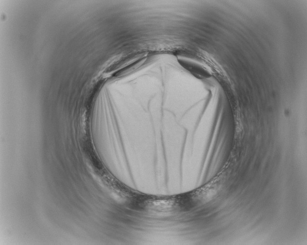 X0000059060163200511041738