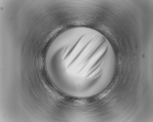 X0000059060164200511041738