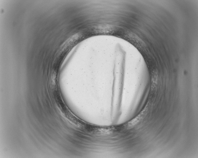 X0000059060166200511041738