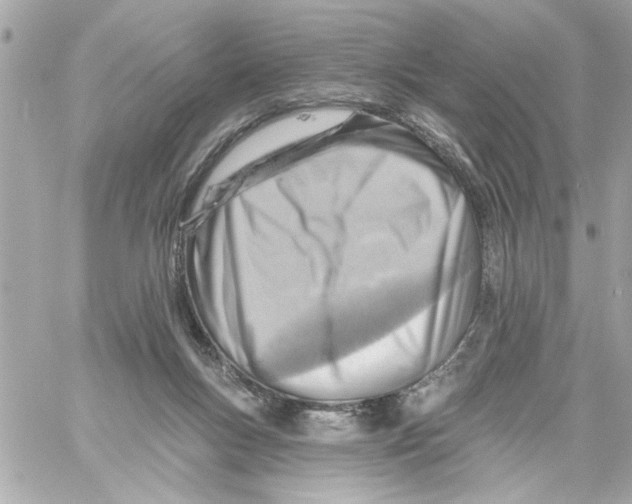 X0000059060167200511041738